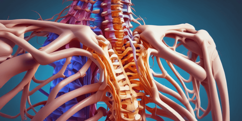 Thoracic Spine Assessment and Treatment Principles
