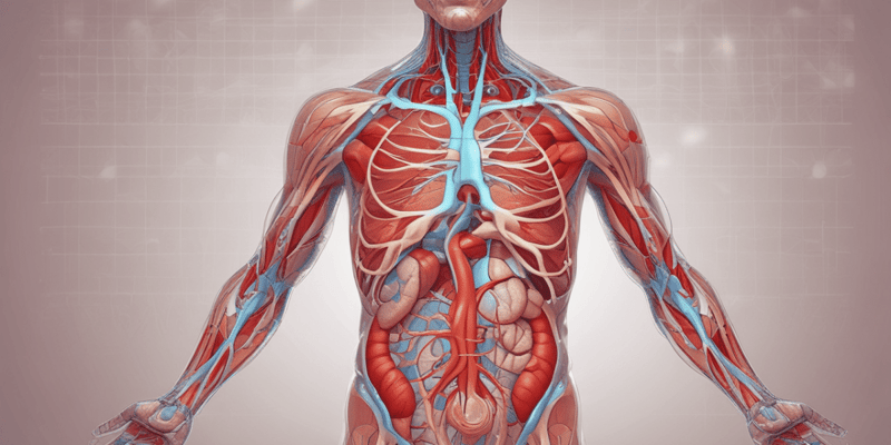 Physiology Quiz: Heart and Muscle Function