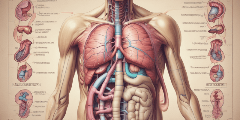 Introduction to the Esophagus