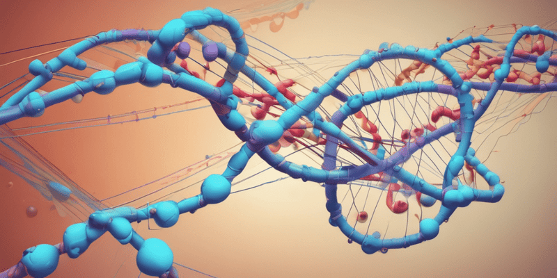 Molecular Biology: Codon Structure and Translation
