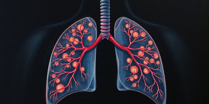 Respiratory System Overview