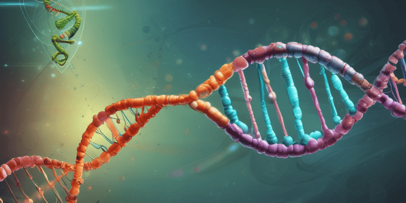 Molecular Biology: DNA Inhibition Mechanisms