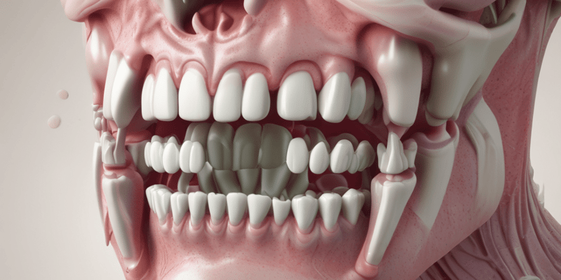 Dental Anatomy: Maxillary Premolars
