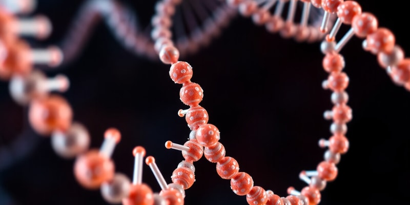 Nucleic Acids - Structure and Function