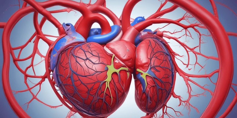 Ischemic Heart Disease - Coronary Circulation Anatomy and Pathophysiology