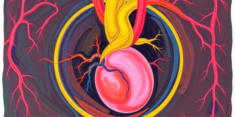 Fetal Circulation and Structures