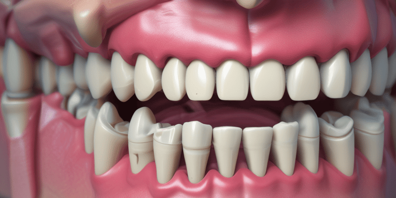 Periodontal Ligament (PDL) Structure and Function