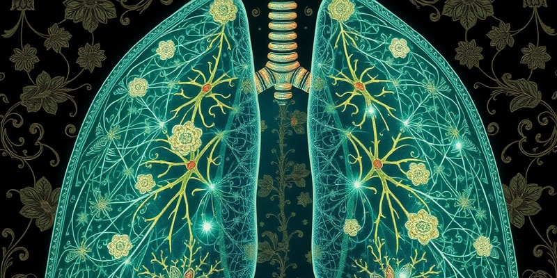 Respiration Functional Events Quiz