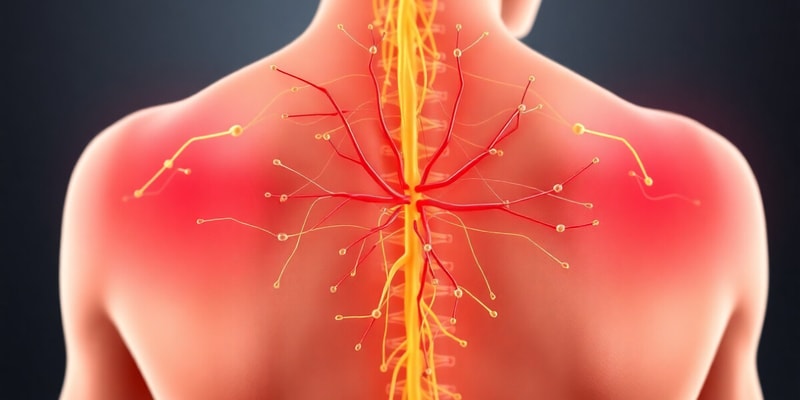 Assessing Pain in Nociceptive Pain