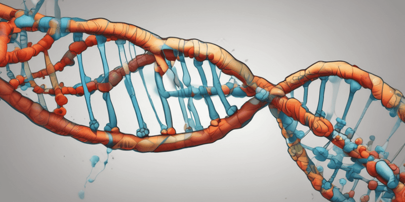 Molecular Biology: DNA Repair and Mutations