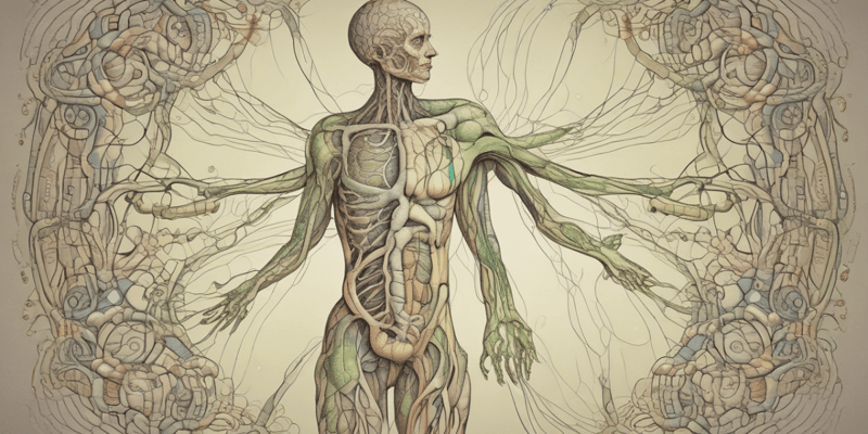 Functions of the Lymphatic System