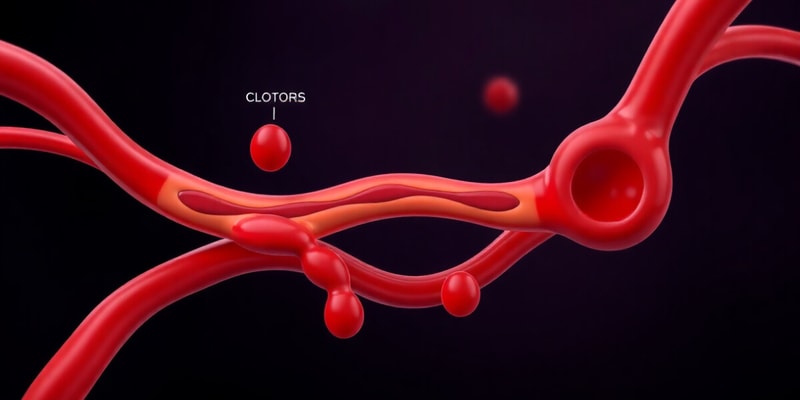 Clotting Cascade Overview