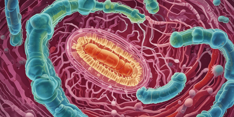 E. coli Adhesion and Pathogenicity