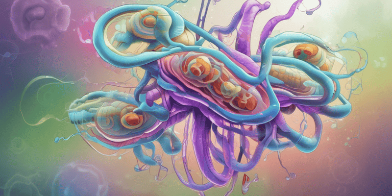 Bactériologie: Vibrio cholerae