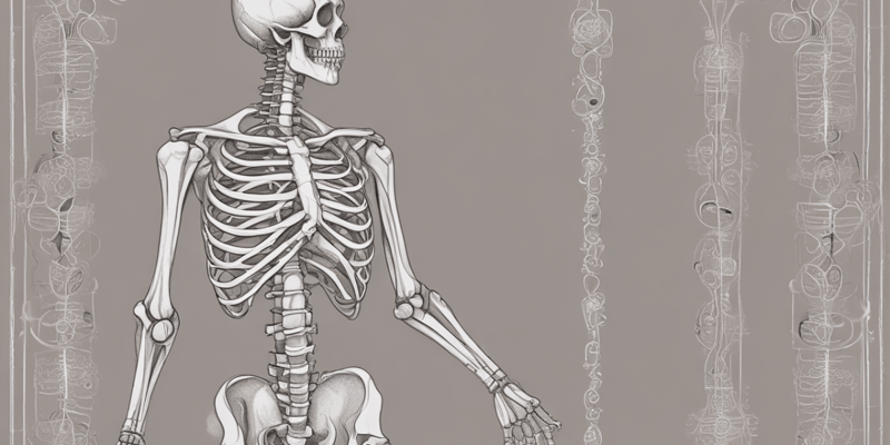Anatomy: The Skeletal System Lecture 6
