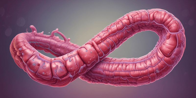 Megadolicocolonul și boli inflamatorii intestinale