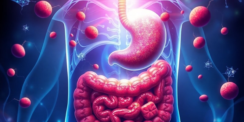 Nutrition and Human Digestive System Quiz