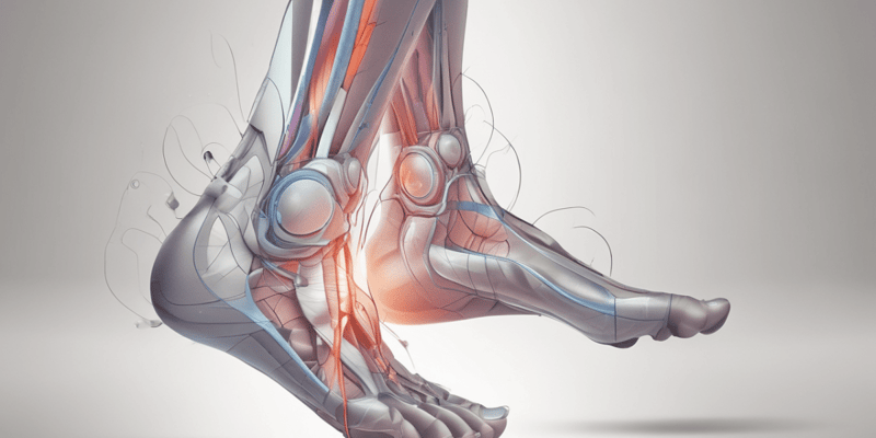 Inversion Ankle Sprain: Symptoms and Risk Factors
