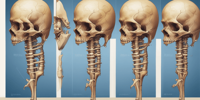 Bone Anatomy and Development Quiz