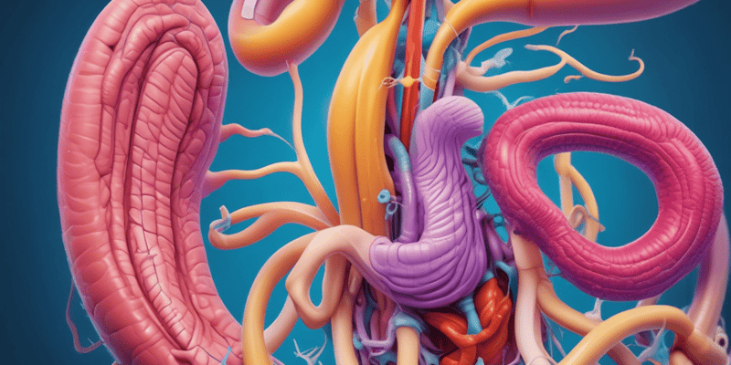 Digestive System Chapter 23: Overview and GI Tract Layers