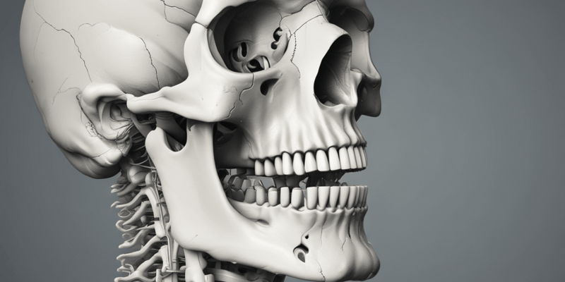 Osteokinematics of the TMJ: Depression and Elevation