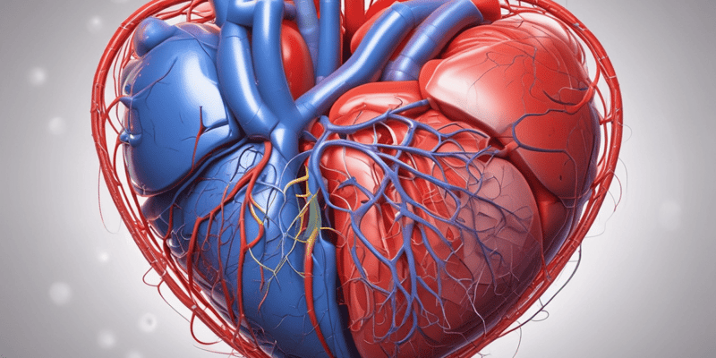 Cardiovascular System Pressure and Pumping Function Quiz