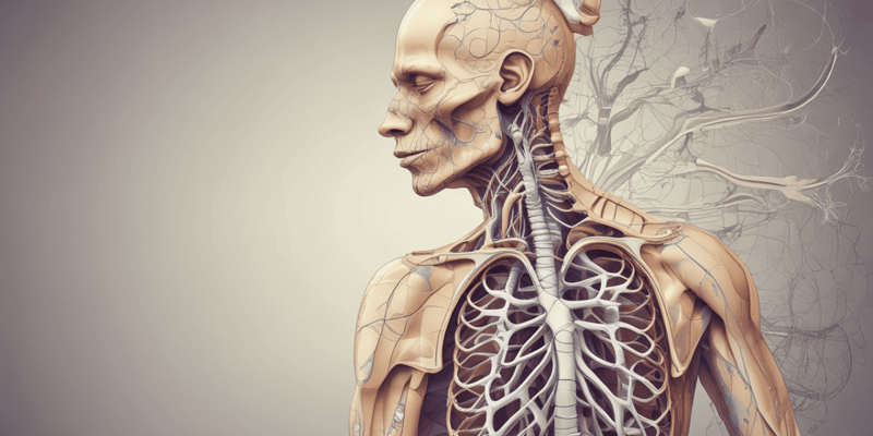 Respiratory Physiology