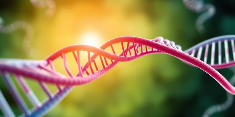 BLOCK 3: MBG: (3.4) RNA STRUCTURE & TRANSCRIPTION