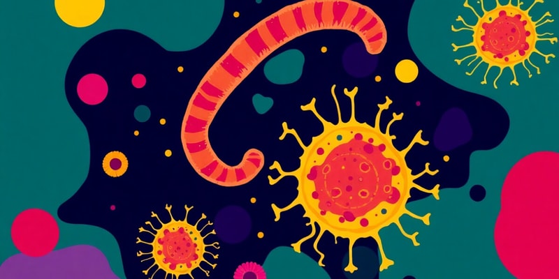 Microbiology: Spirochetes and Chlamydiae