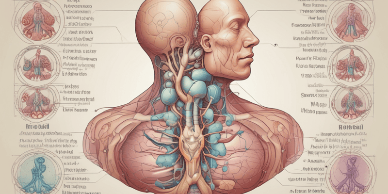 Endocrine System: Thyroid Gland and Hormones
