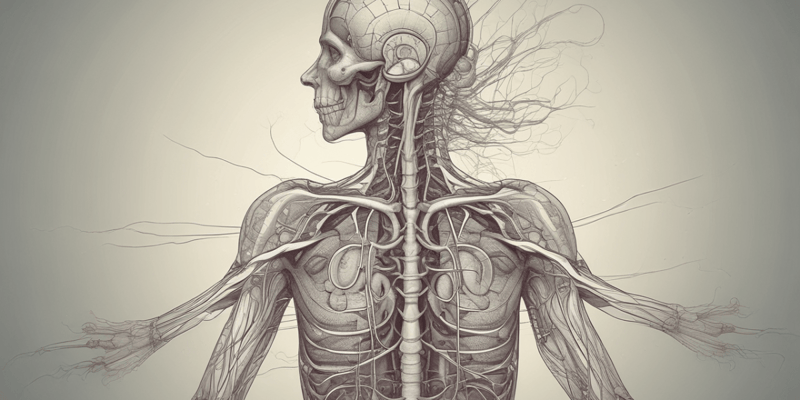 Nervous System Lecture 17