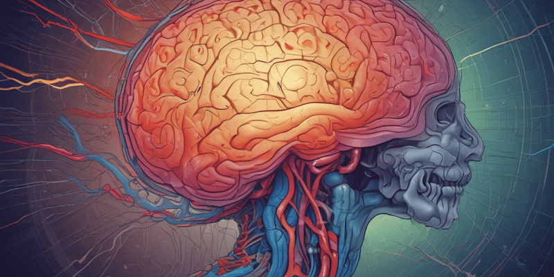 Neurology Lab II: Brain Functions and Systems