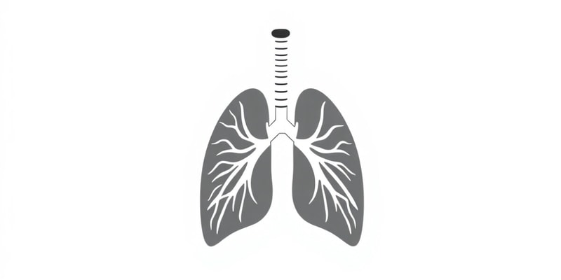 Chest Breathing Mechanics Quiz