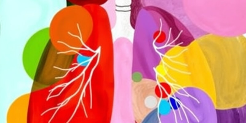 Human Respiratory System Overview