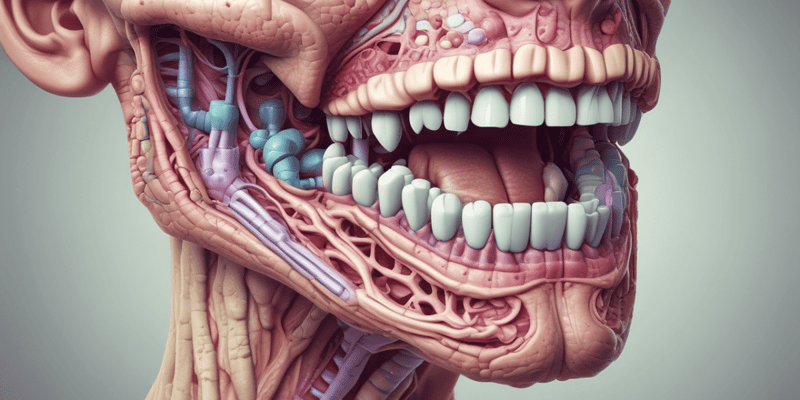Oral Biology: Salivary Glands