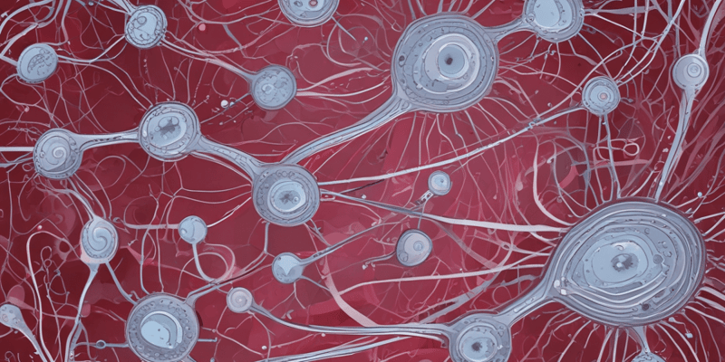 Sperm Cell Biology
