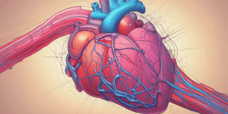 Cardiac Muscle Physiology