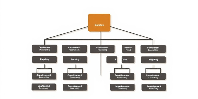 Diseño Organizativo en la Práctica