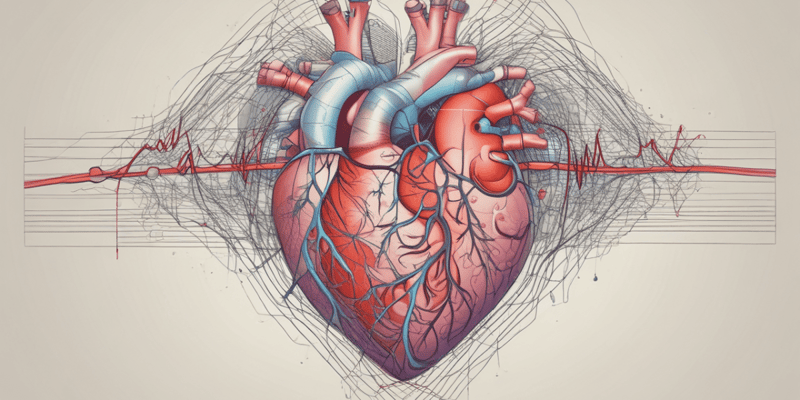 Cardiovascular System 2.1 - Circulation