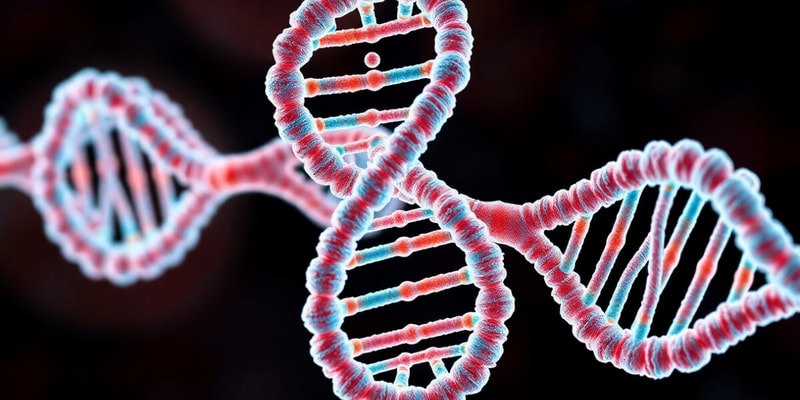 Gene Mutation and DNA Repair Quiz