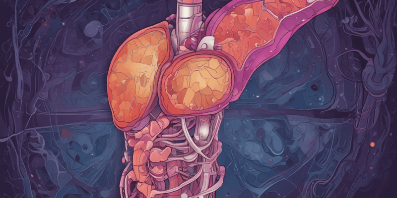 Pancreas Imaging and Laboratory Values