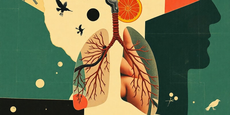 Respiration and Gas Exchange - BL1004