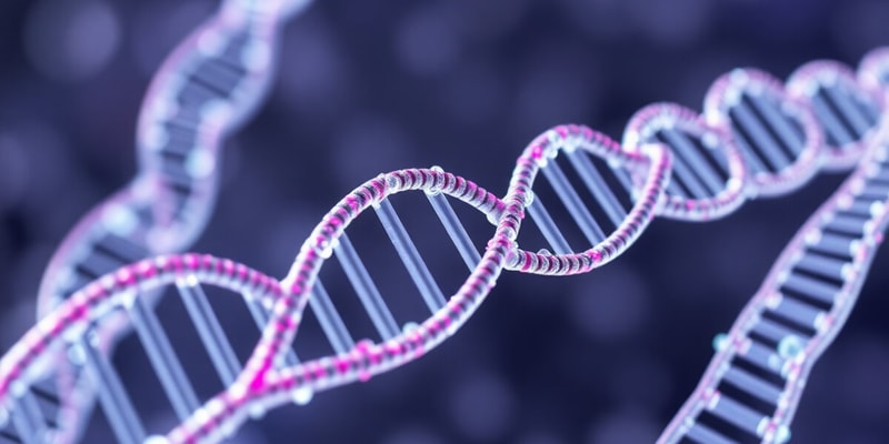 Lecture 10a Polymorphism Discovery and Genotyping