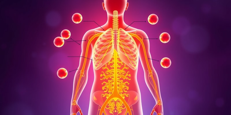 Endocrine System Overview