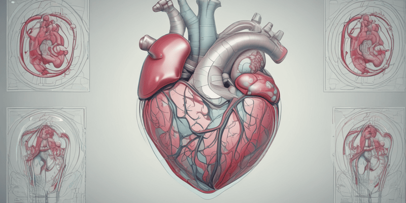 CT Applications in Cardiac Imaging