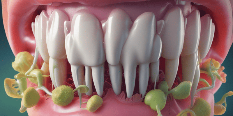 Dental Caries and Oral Bacteria Quiz