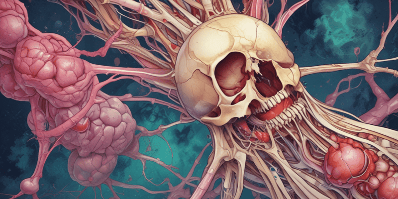 Human Biology: Bone Marrow and Immune System