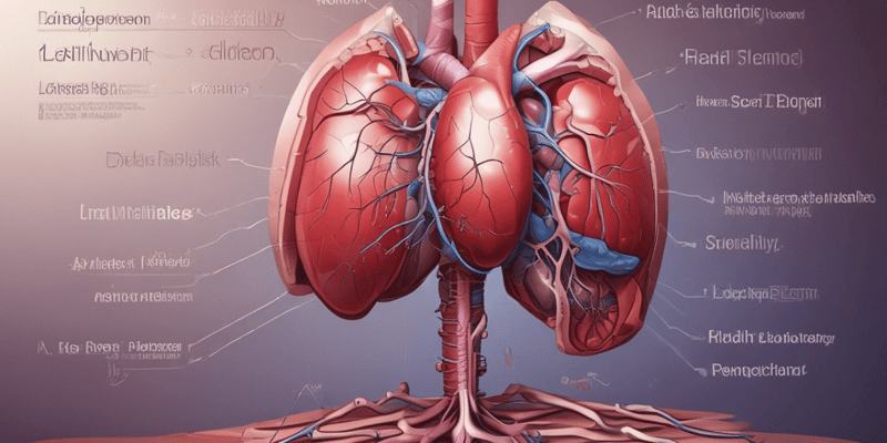 Liver Anatomy and Functions