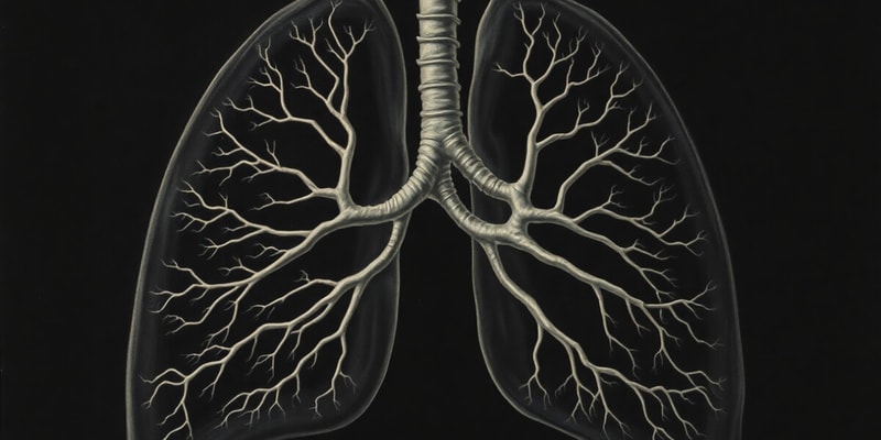 L24. Embryology - Lung Development