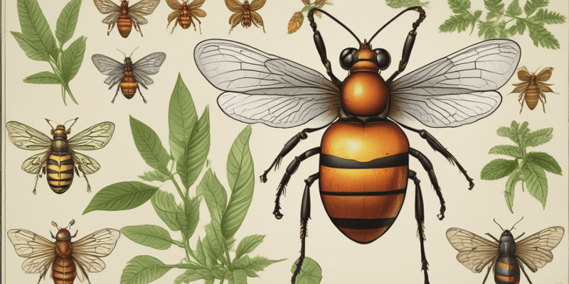 Herbivorous Insects Ent 104 Johnson Outline Quiz